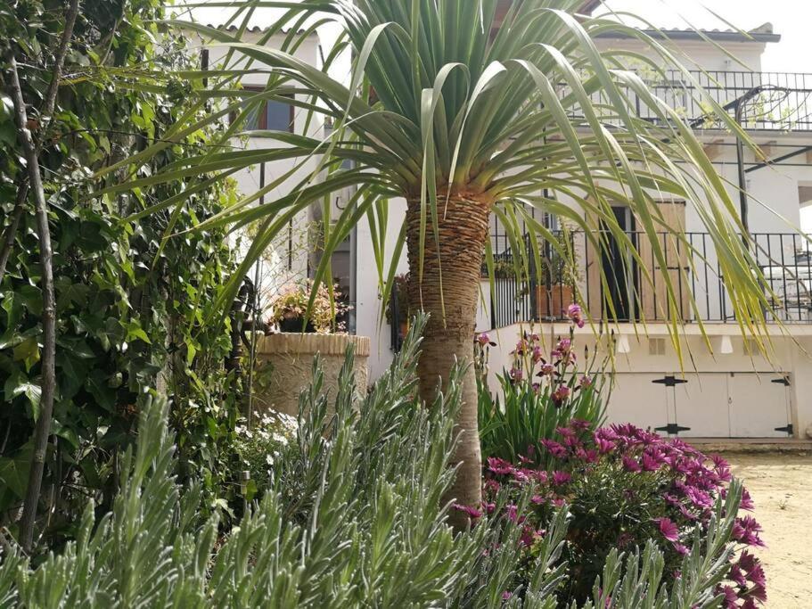 Casa La Higuera Vila Chulilla Exterior foto