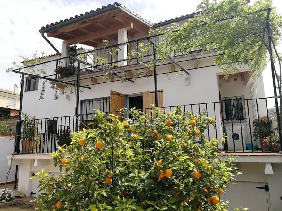 Casa La Higuera Vila Chulilla Exterior foto